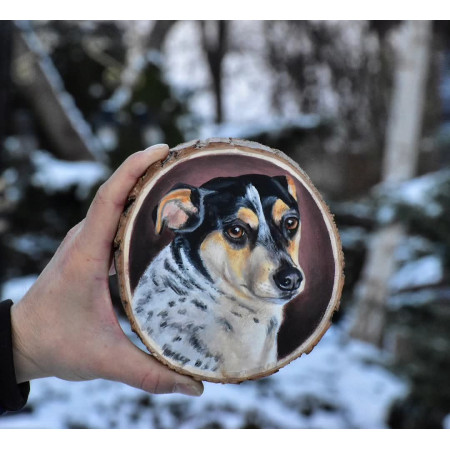 Portret pupila na plastrze 13 cm